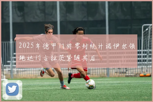 2025年德甲门将零封统计诺伊尔领跑达门古拉茨紧随其后